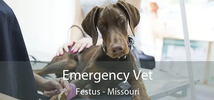 Emergency Vet Festus - Missouri