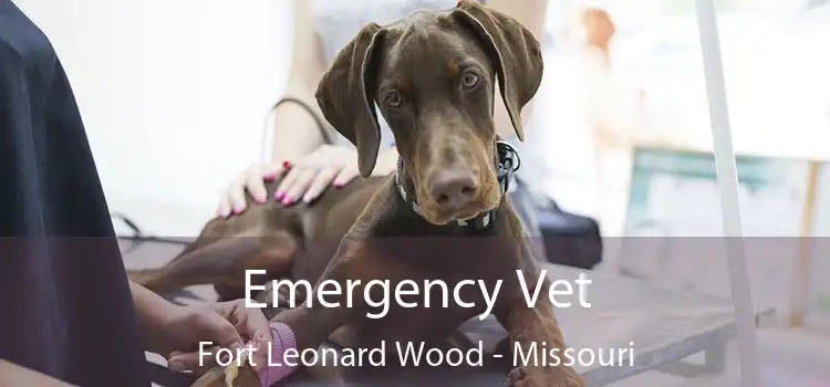 Emergency Vet Fort Leonard Wood - Missouri