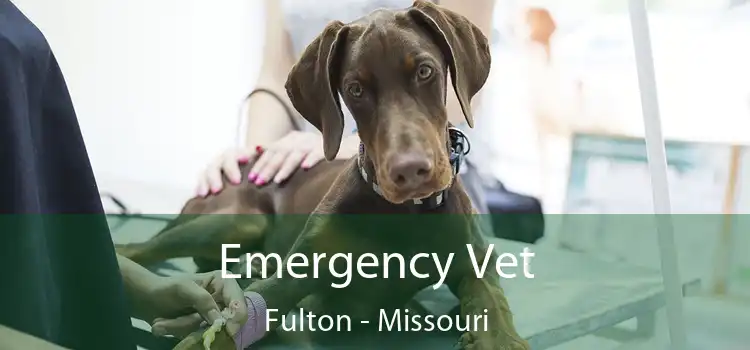 Emergency Vet Fulton - Missouri