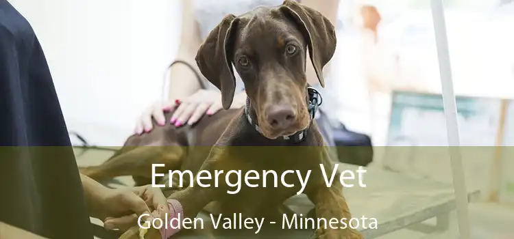 Emergency Vet Golden Valley - Minnesota