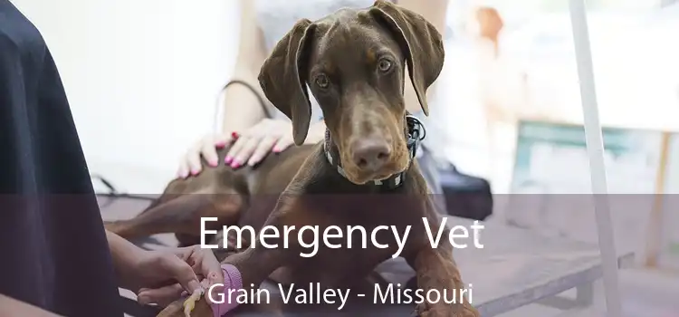 Emergency Vet Grain Valley - Missouri