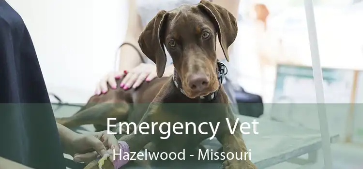 Emergency Vet Hazelwood - Missouri