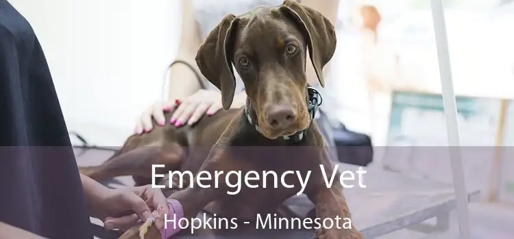 Emergency Vet Hopkins - Minnesota