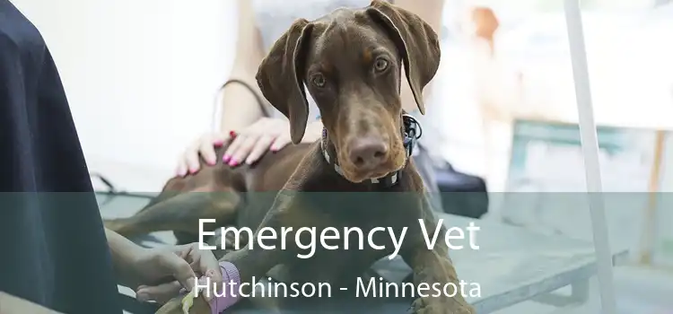 Emergency Vet Hutchinson - Minnesota