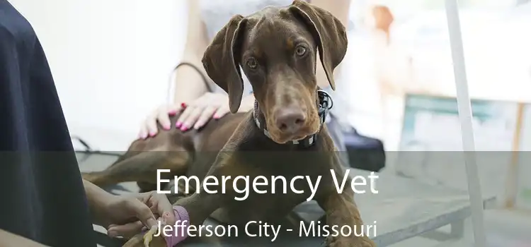 Emergency Vet Jefferson City - Missouri