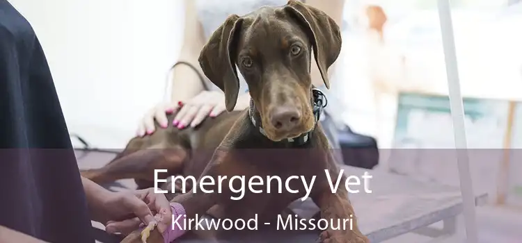 Emergency Vet Kirkwood - Missouri