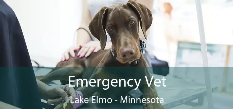 Emergency Vet Lake Elmo - Minnesota