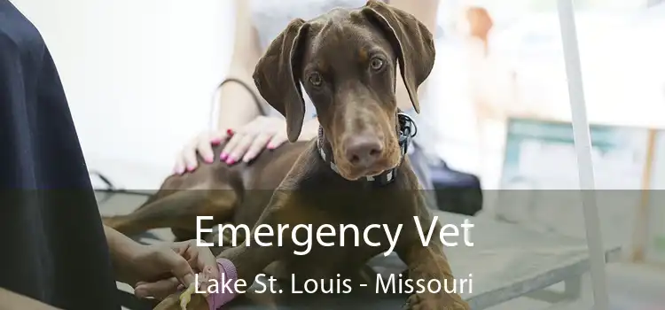 Emergency Vet Lake St. Louis - Missouri