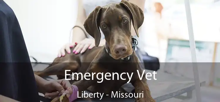 Emergency Vet Liberty - Missouri