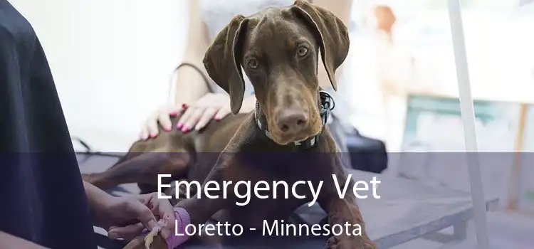 Emergency Vet Loretto - Minnesota