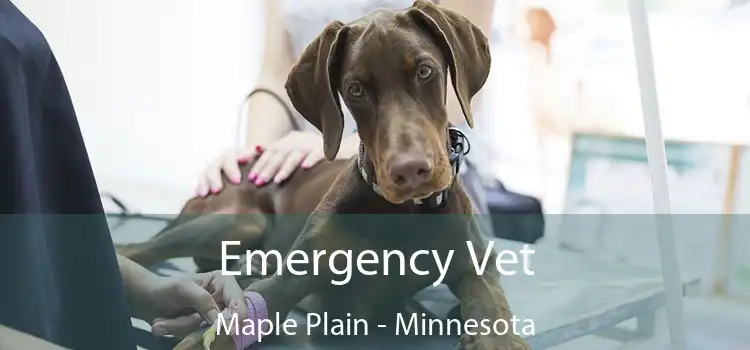 Emergency Vet Maple Plain - Minnesota