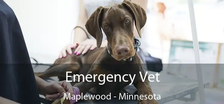 Emergency Vet Maplewood - Minnesota