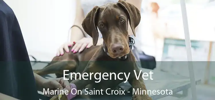 Emergency Vet Marine On Saint Croix - Minnesota