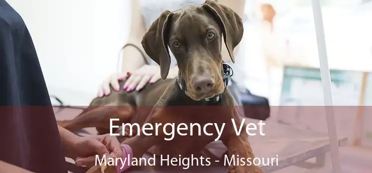 Emergency Vet Maryland Heights - Missouri