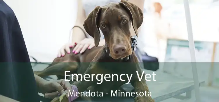 Emergency Vet Mendota - Minnesota