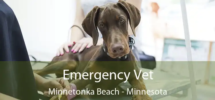 Emergency Vet Minnetonka Beach - Minnesota