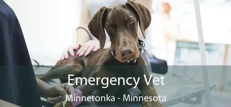 Emergency Vet Minnetonka - Minnesota