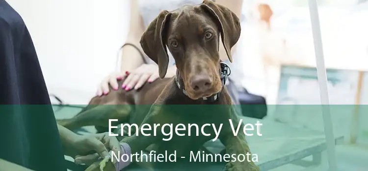 Emergency Vet Northfield - Minnesota