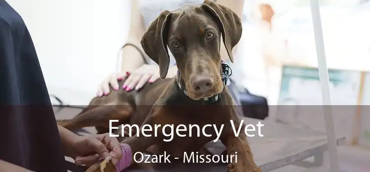 Emergency Vet Ozark - Missouri