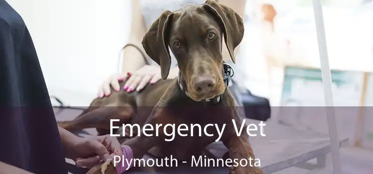 Emergency Vet Plymouth - Minnesota