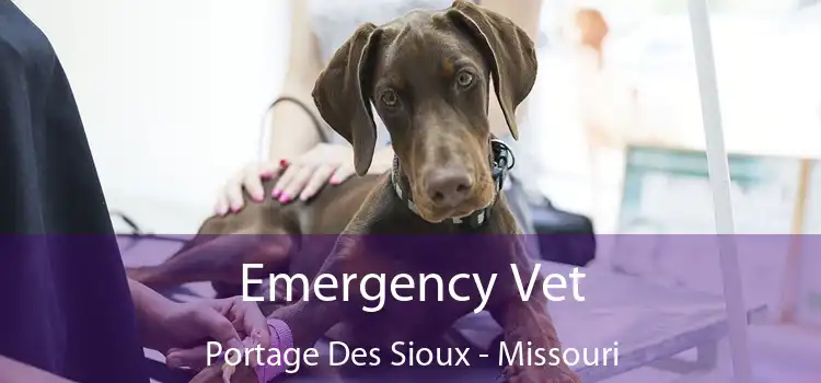 Emergency Vet Portage Des Sioux - Missouri