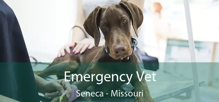 Emergency Vet Seneca - Missouri