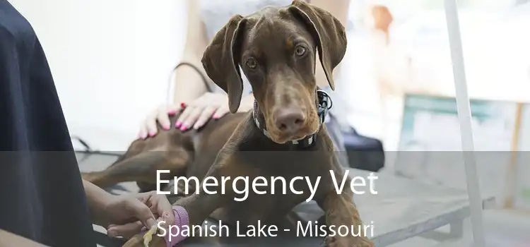 Emergency Vet Spanish Lake - Missouri