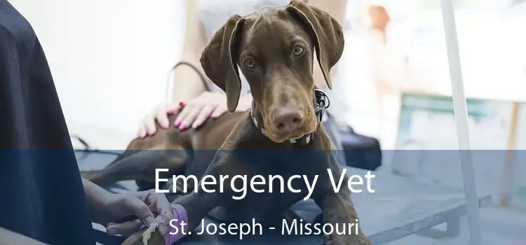 Emergency Vet St. Joseph - Missouri