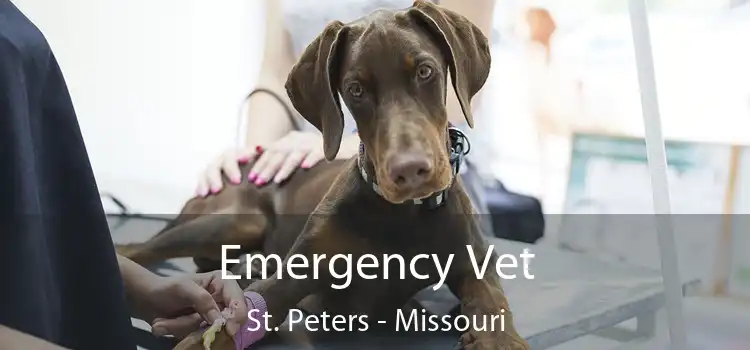 Emergency Vet St. Peters - Missouri