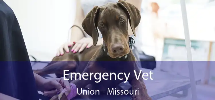 Emergency Vet Union - Missouri