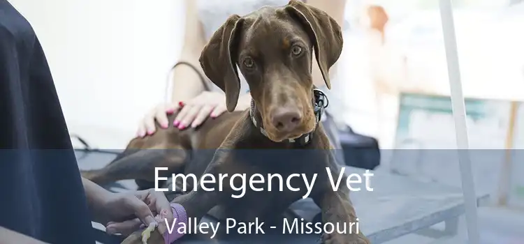 Emergency Vet Valley Park - Missouri