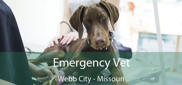 Emergency Vet Webb City - Missouri