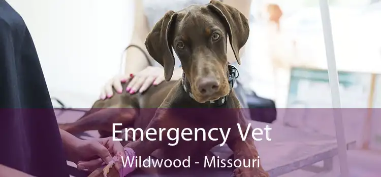 Emergency Vet Wildwood - Missouri