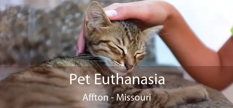 Pet Euthanasia Affton - Missouri