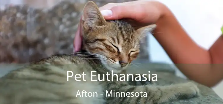 Pet Euthanasia Afton - Minnesota