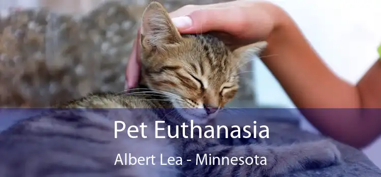 Pet Euthanasia Albert Lea - Minnesota