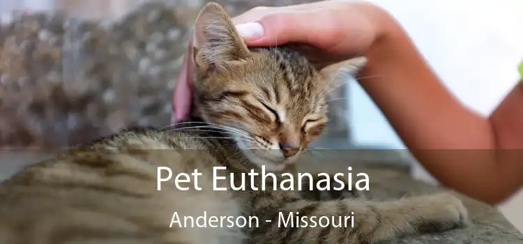 Pet Euthanasia Anderson - Missouri