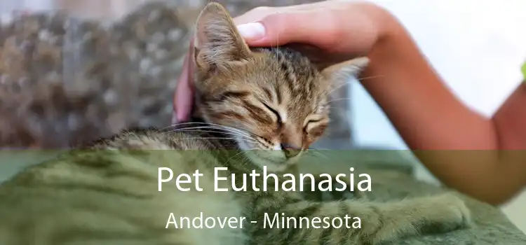 Pet Euthanasia Andover - Minnesota