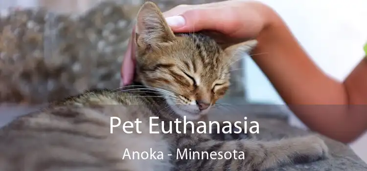 Pet Euthanasia Anoka - Minnesota