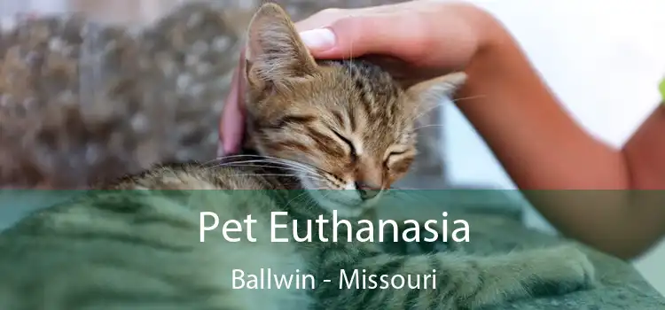 Pet Euthanasia Ballwin - Missouri