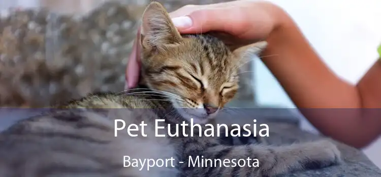 Pet Euthanasia Bayport - Minnesota