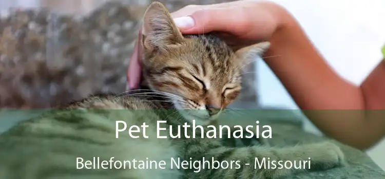 Pet Euthanasia Bellefontaine Neighbors - Missouri