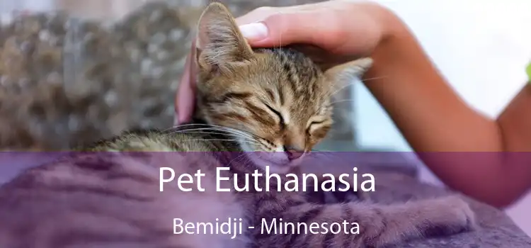 Pet Euthanasia Bemidji - Minnesota