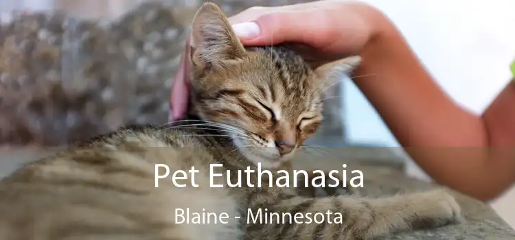 Pet Euthanasia Blaine - Minnesota