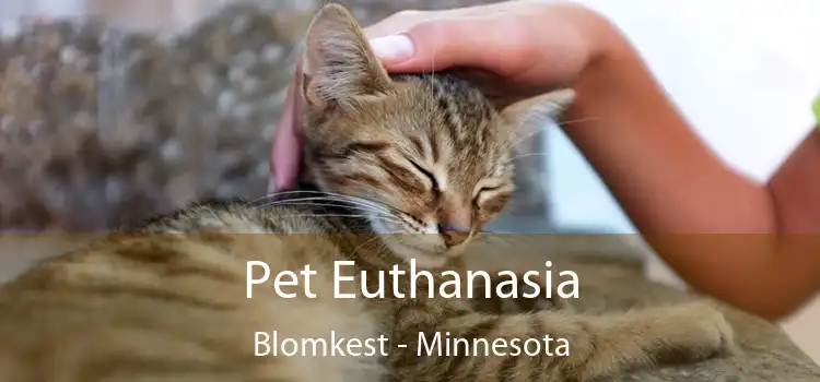 Pet Euthanasia Blomkest - Minnesota