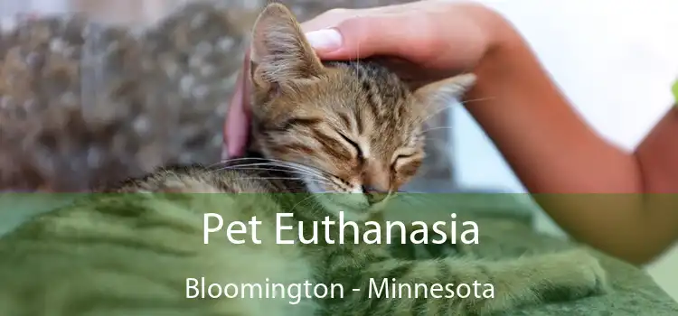 Pet Euthanasia Bloomington - Minnesota