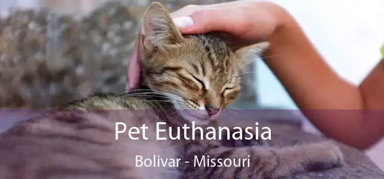 Pet Euthanasia Bolivar - Missouri