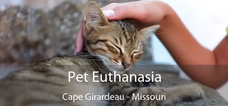 Pet Euthanasia Cape Girardeau - Missouri