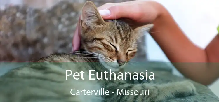 Pet Euthanasia Carterville - Missouri