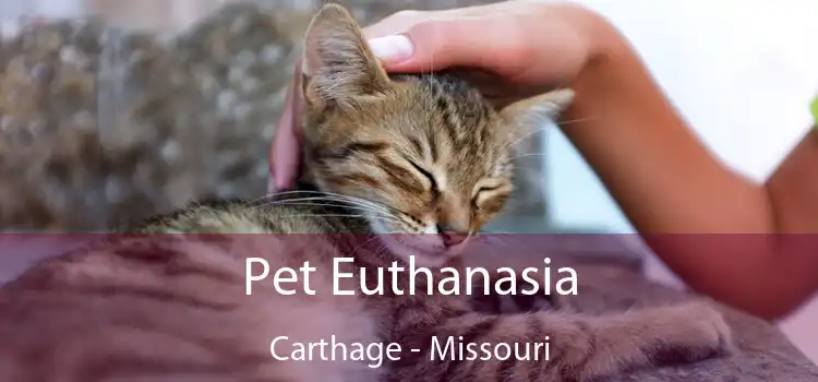 Pet Euthanasia Carthage - Missouri